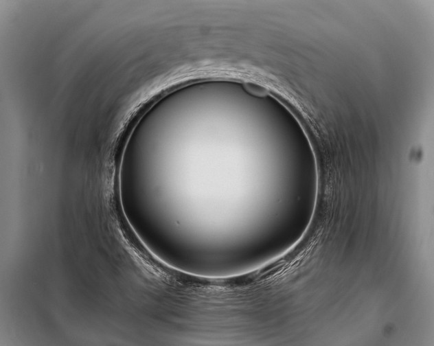 X0000100951507200807011256