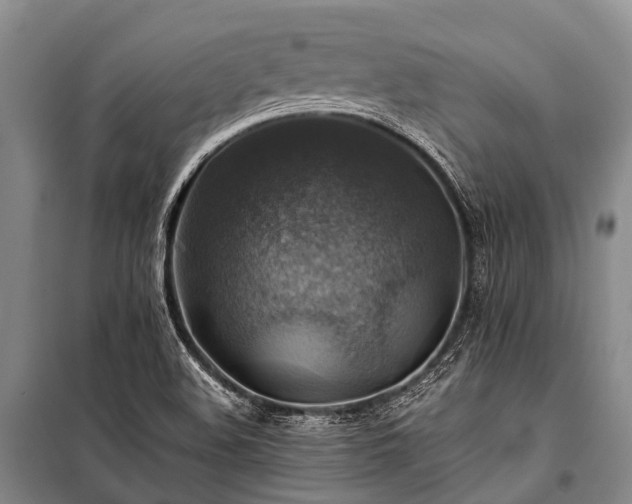 X0000100951508200807011256