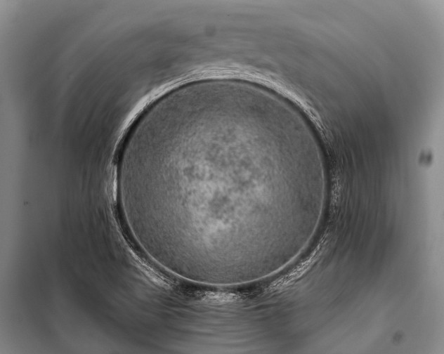 X0000100951509200807011256