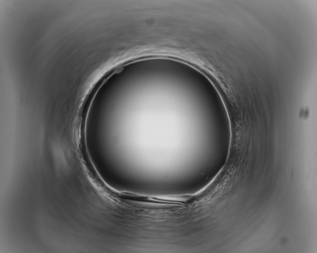 X0000100951511200807011256