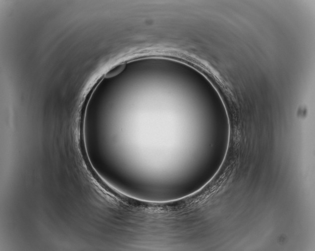 X0000100951512200807011256