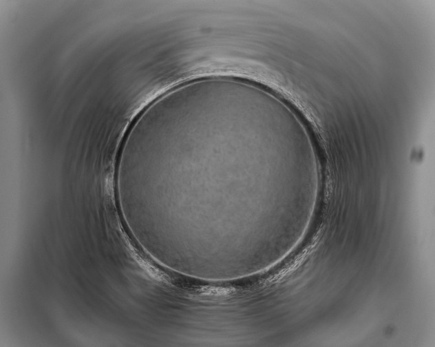X0000100951513200807011256