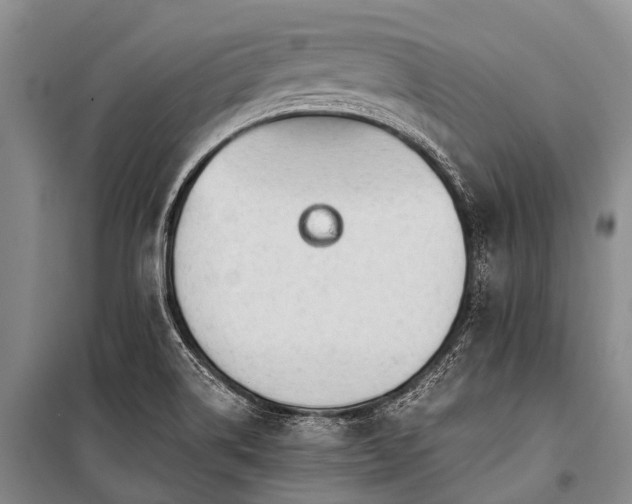X0000100951514200807011256