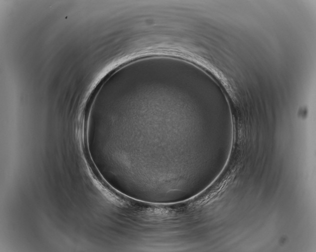 X0000100951515200807011256