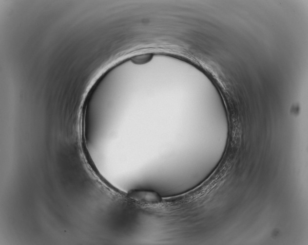 X0000100951516200807011256