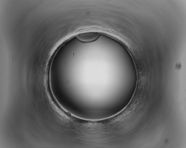 X0000100951518200807011256