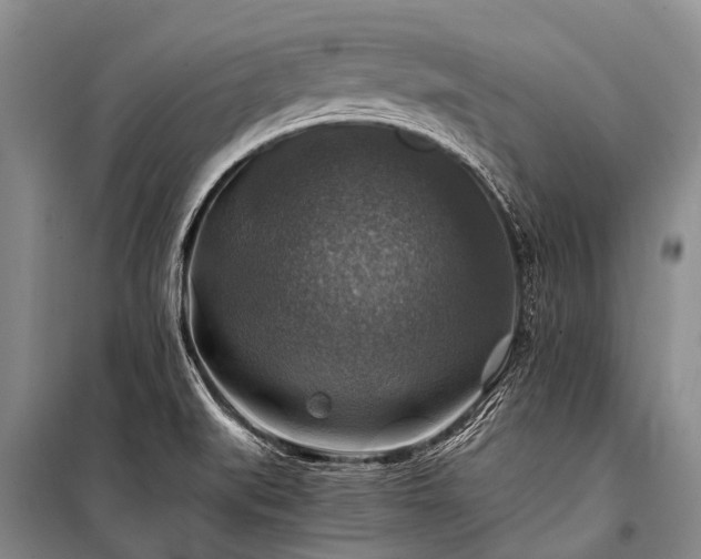 X0000100951519200807011256