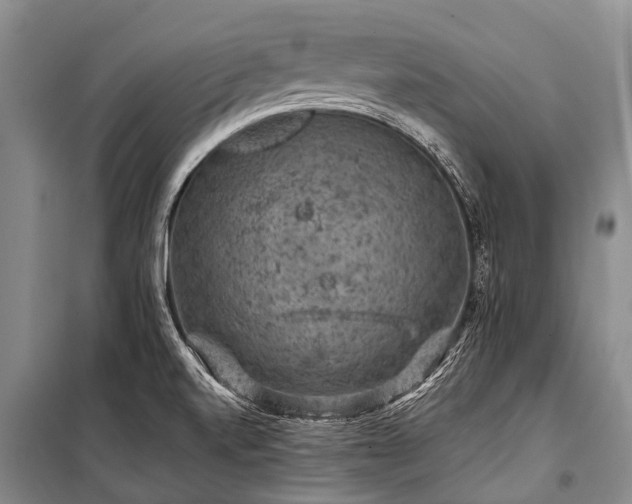 X0000100951520200807011256