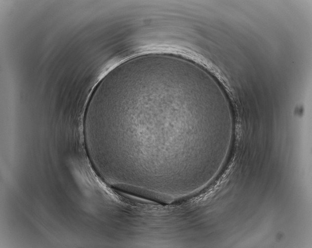 X0000100951521200807011256