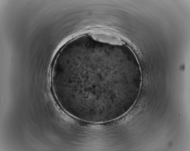 X0000100951522200807011257