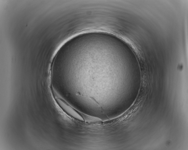 X0000100951524200807011257