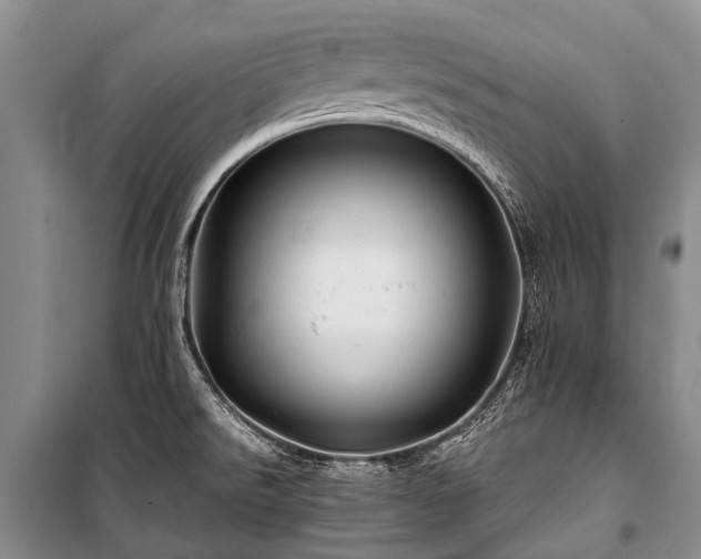 X0000100951526200807011257