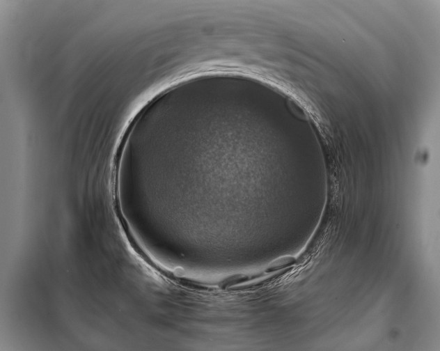 X0000100951527200807011257