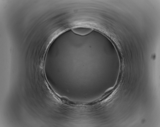 X0000100951529200807011257