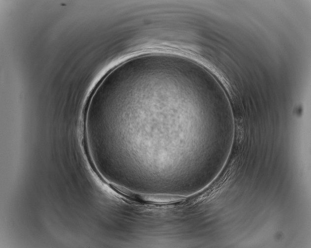 X0000100951531200807011257