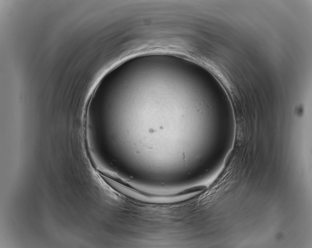 X0000100951532200807011257
