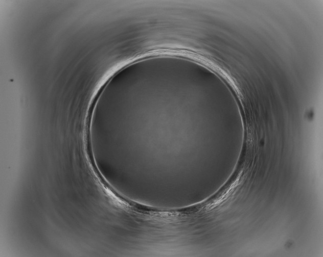 X0000100951533200807011257