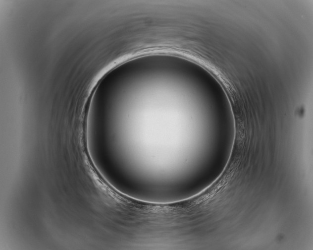 X0000100951534200807011257