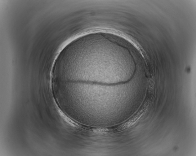 X0000100951535200807011257