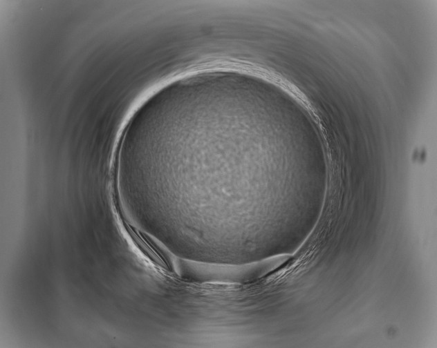 X0000100951536200807011257