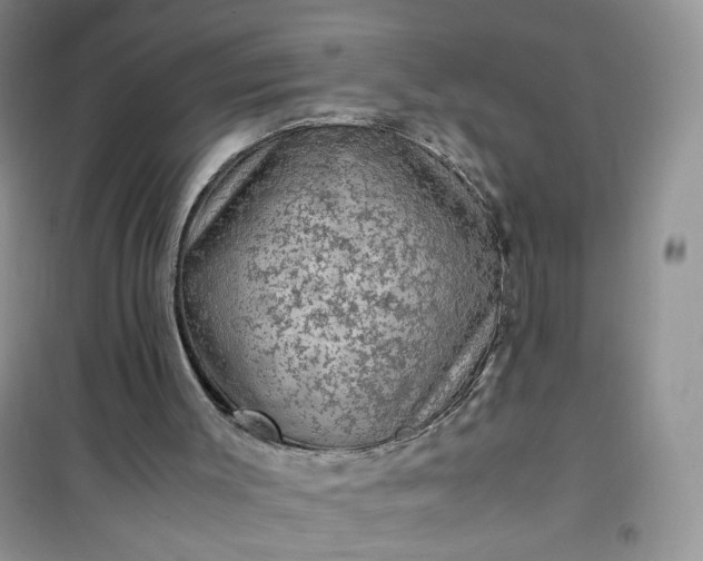 X0000100950003200807081229