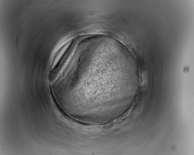 X0000100950004200807081229