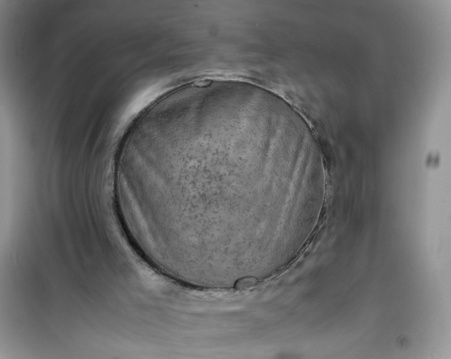 X0000100950005200807081229