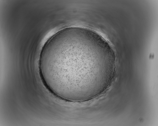 X0000100950007200807081229