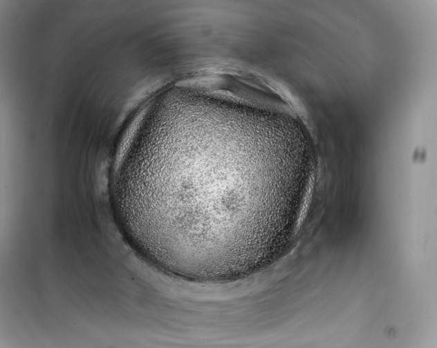 X0000100950010200807081229