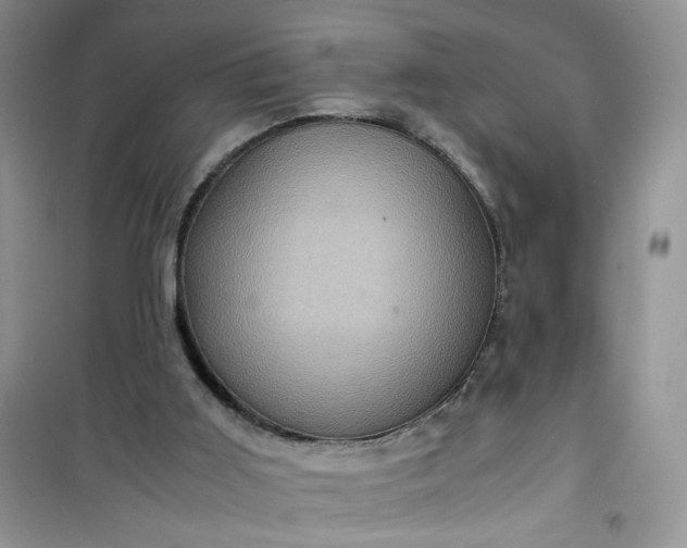 X0000100950011200807081229