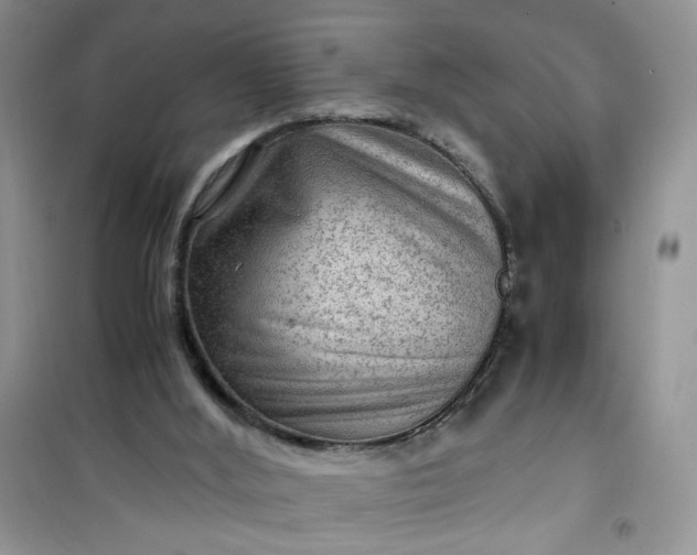 X0000100950012200807081229