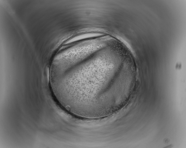 X0000100950013200807081229