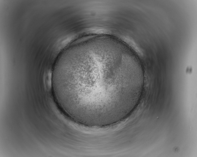 X0000100950014200807081229