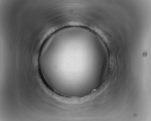 X0000100950015200807081229