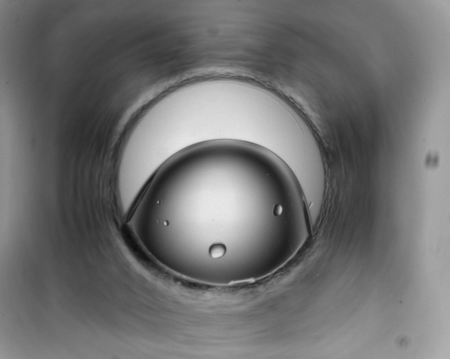 X0000100950016200807081229