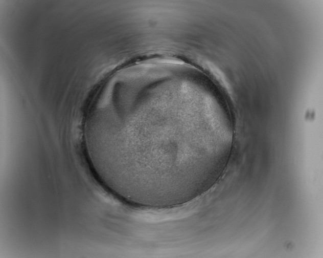 X0000100950017200807081229