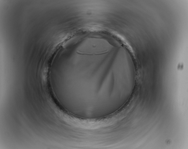 X0000100950018200807081229