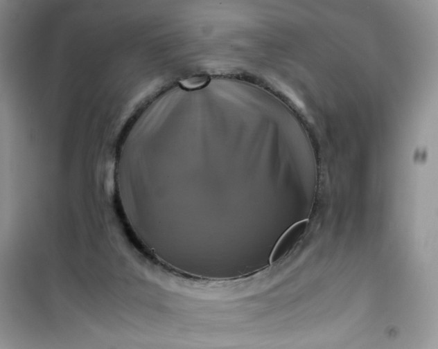 X0000100950019200807081229