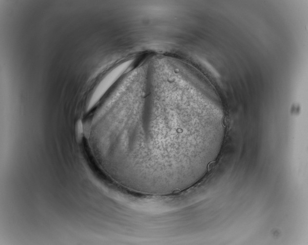 X0000100950020200807081229