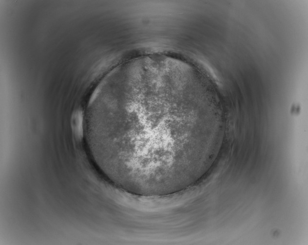 X0000100950022200807081229