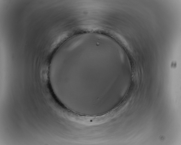 X0000100950023200807081229