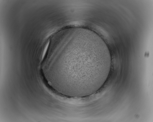 X0000100950024200807081229