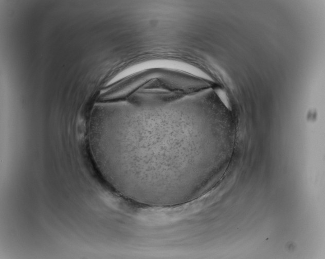 X0000100950025200807081229