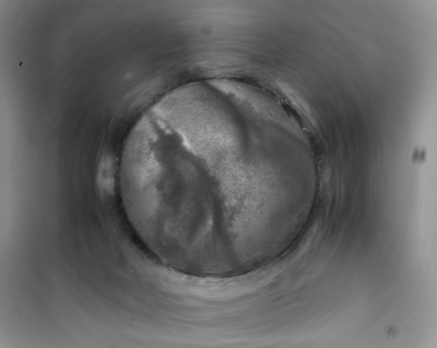 X0000100950026200807081229