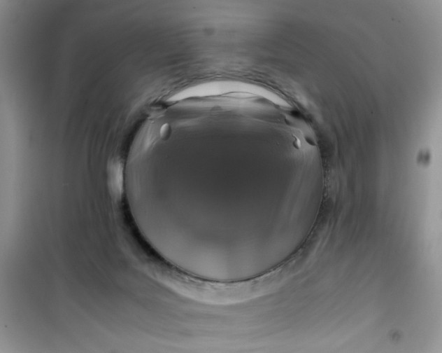 X0000100950027200807081229