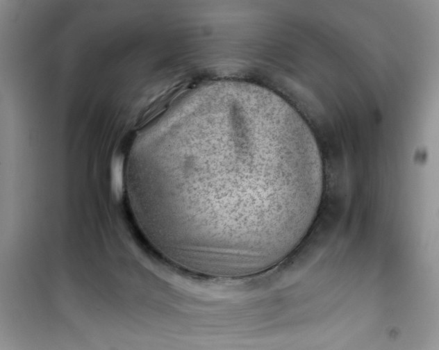 X0000100950028200807081229