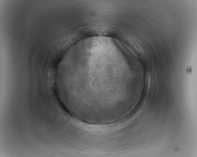 X0000100950030200807081229