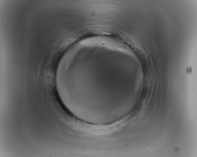 X0000100950031200807081229