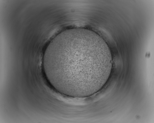 X0000100950032200807081229