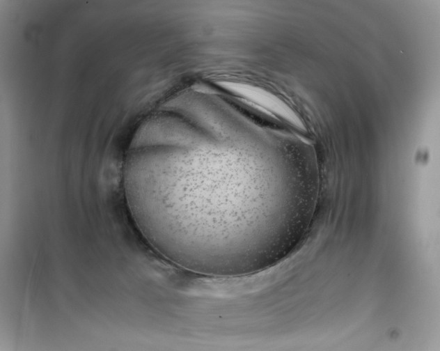 X0000100950033200807081229